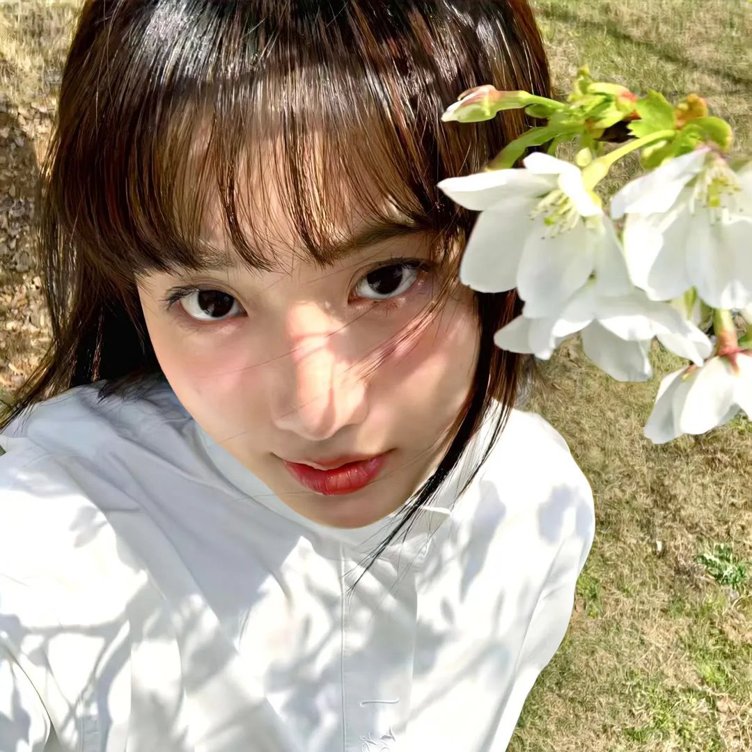 美人依旧